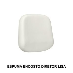 Espuma ENCOSTO Diretor LISA - AMERICANFER - 99201